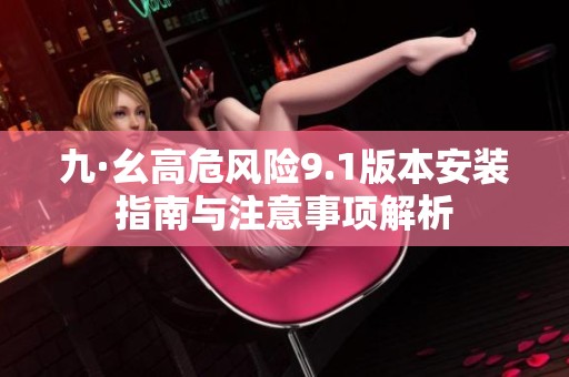 九·幺高危风险9.1版本安装指南与注意事项解析