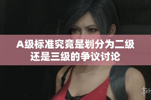 A级标准究竟是划分为二级还是三级的争议讨论
