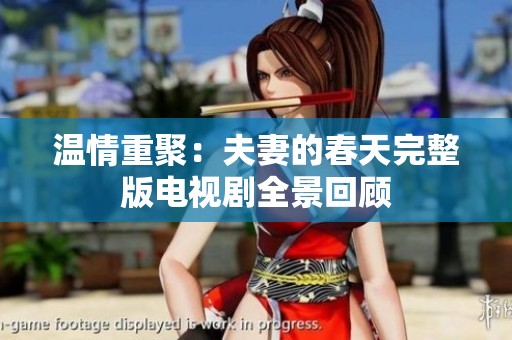 温情重聚：夫妻的春天完整版电视剧全景回顾