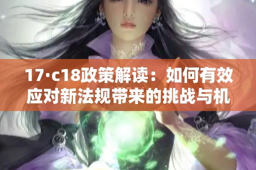 17·c18政策解读：如何有效应对新法规带来的挑战与机遇