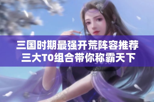 三国时期最强开荒阵容推荐 三大T0组合带你称霸天下