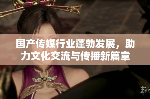 国产传媒行业蓬勃发展，助力文化交流与传播新篇章