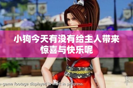小狗今天有没有给主人带来惊喜与快乐呢
