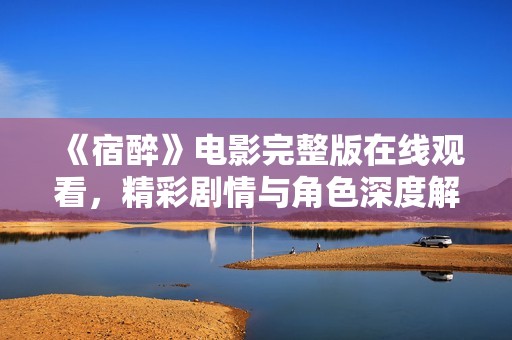 《宿醉》电影完整版在线观看，精彩剧情与角色深度解析