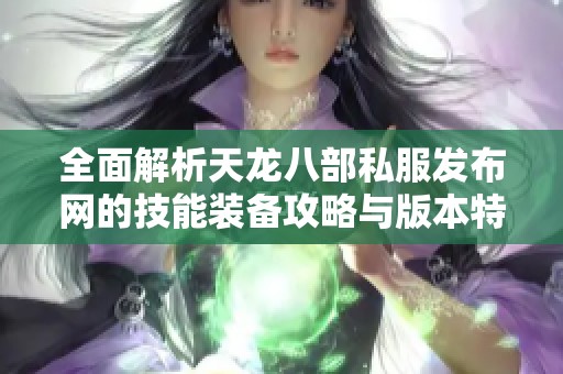 全面解析天龙八部私服发布网的技能装备攻略与版本特色