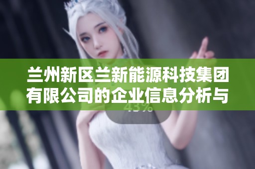兰州新区兰新能源科技集团有限公司的企业信息分析与发展前景探讨