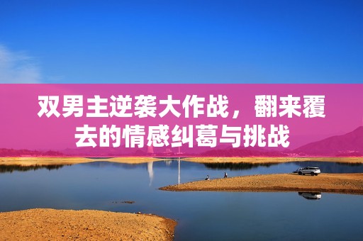 双男主逆袭大作战，翻来覆去的情感纠葛与挑战