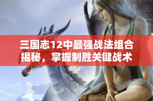三国志12中最强战法组合揭秘，掌握制胜关键战术