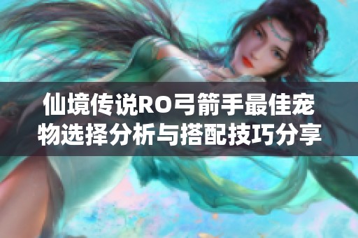 仙境传说RO弓箭手最佳宠物选择分析与搭配技巧分享