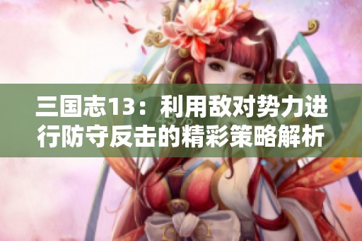 三国志13：利用敌对势力进行防守反击的精彩策略解析