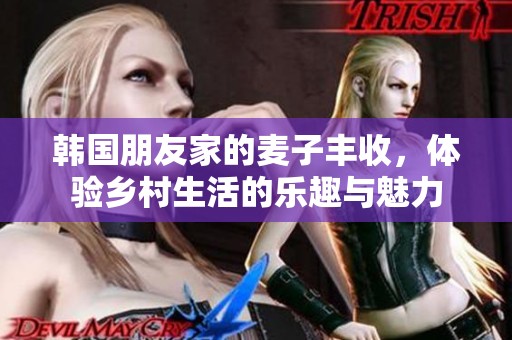 韩国朋友家的麦子丰收，体验乡村生活的乐趣与魅力