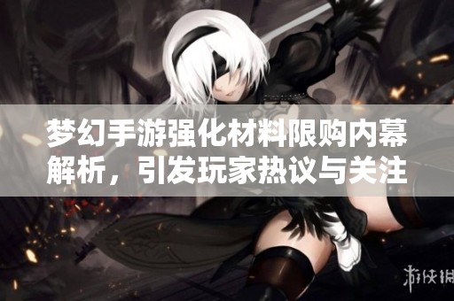 梦幻手游强化材料限购内幕解析，引发玩家热议与关注