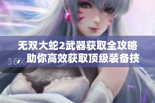 无双大蛇2武器获取全攻略，助你高效获取顶级装备技巧与策略分享