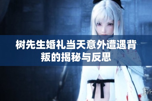 树先生婚礼当天意外遭遇背叛的揭秘与反思