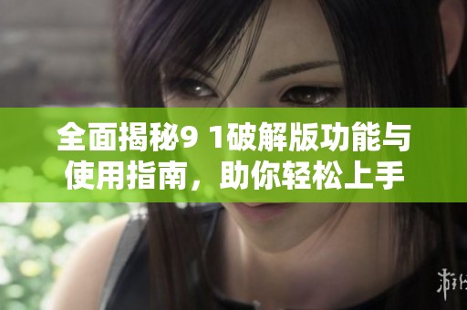 全面揭秘9 1破解版功能与使用指南，助你轻松上手