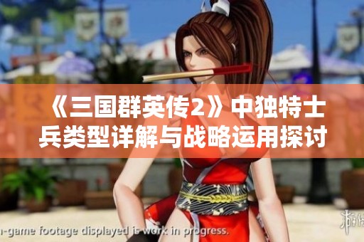 《三国群英传2》中独特士兵类型详解与战略运用探讨