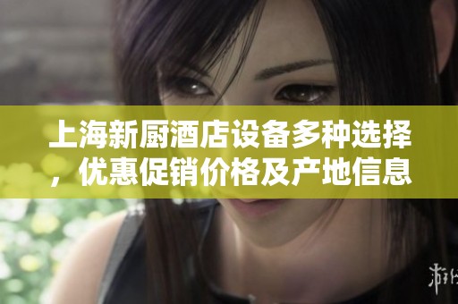 上海新厨酒店设备多种选择，优惠促销价格及产地信息一站式了解