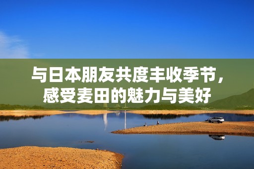 与日本朋友共度丰收季节，感受麦田的魅力与美好