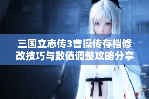 三国立志传3曹操传存档修改技巧与数值调整攻略分享