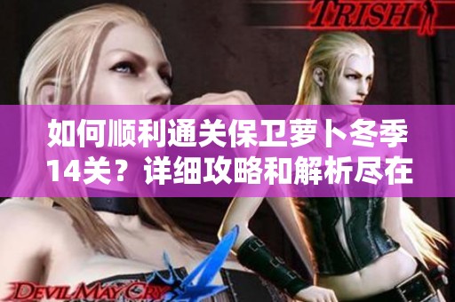 如何顺利通关保卫萝卜冬季14关？详细攻略和解析尽在这里