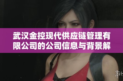武汉金控现代供应链管理有限公司的公司信息与背景解析