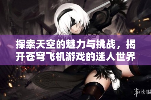 探索天空的魅力与挑战，揭开苍穹飞机游戏的迷人世界