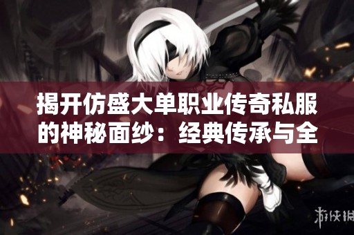 揭开仿盛大单职业传奇私服的神秘面纱：经典传承与全新体验的完美结合
