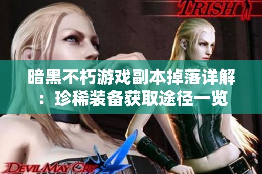 暗黑不朽游戏副本掉落详解：珍稀装备获取途径一览