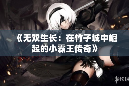 《无双生长：在竹子城中崛起的小霸王传奇》