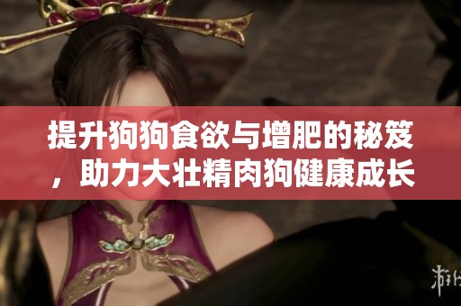 提升狗狗食欲与增肥的秘笈，助力大壮精肉狗健康成长