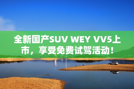 全新国产SUV WEY VV5上市，享受免费试驾活动！